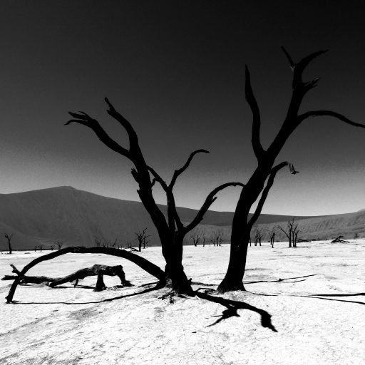 Gedichte aus der Depression